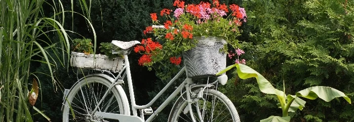Weißes Fahrrad mit Blumenkörben im Garten